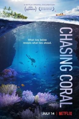 Chasing Coral ไล่ล่าหาปะการัง (2017) บรรยายไทย - ดูหนังออนไลน