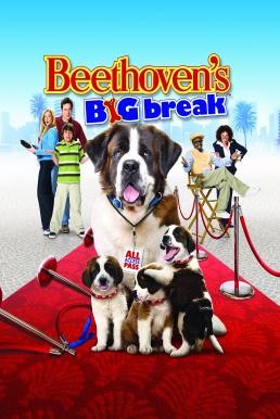 Beethoven's Big Break บีโธเฟน ยอดคุณหมาดาราจำเป็น (2008) - ดูหนังออนไลน