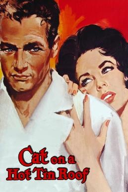 Cat on a Hot Tin Roof (1958) บรรยายไทย