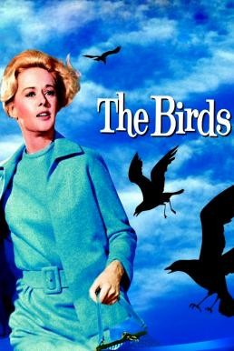 The Birds นก นก นก (1963) - ดูหนังออนไลน
