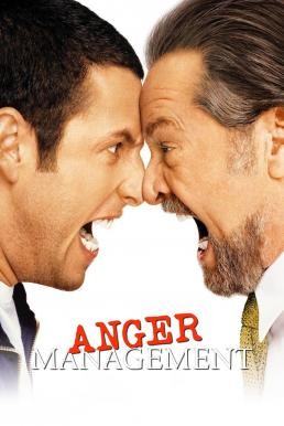 Anger Management สูตรเด็ด เพชฌฆาตความเครียด (2003) - ดูหนังออนไลน