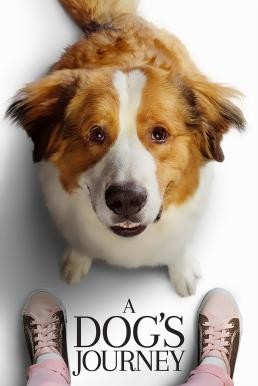 A Dog's Journey หมา เป้าหมาย และเด็กชายของผม 2 (2019) - ดูหนังออนไลน