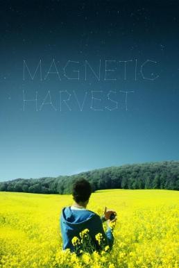 Magnetic Harvest (2019) บรรยายไทย - ดูหนังออนไลน