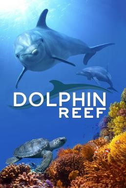 Dolphin Reef (2020) Disney+ บรรยายไทย