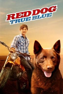 Red Dog: True Blue (2016) HDTV - ดูหนังออนไลน