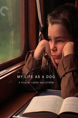 My Life as a Dog (Mitt liv som hund) (1985) บรรยายไทย - ดูหนังออนไลน