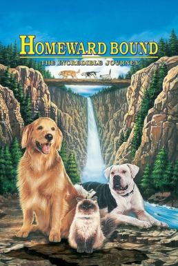 Homeward Bound: The Incredible Journey สองหมาหนึ่งแมว ใครจะพรากเราไม่ได้ (1993) - ดูหนังออนไลน