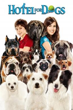 Hotel for Dogs โรงแรมสี่ขาก๊วนหมาจอมกวน (2009) - ดูหนังออนไลน