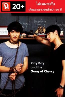 PlayBoy (and the Gang of Cherry) (2017) 20+ - ดูหนังออนไลน