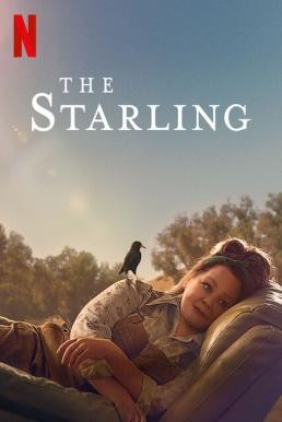 The Starling เดอะ สตาร์ลิง (2021) NETFLIX บรรยายไทย