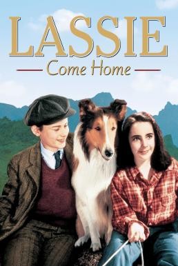 Lassie Come Home (1943) บรรยายไทย - ดูหนังออนไลน