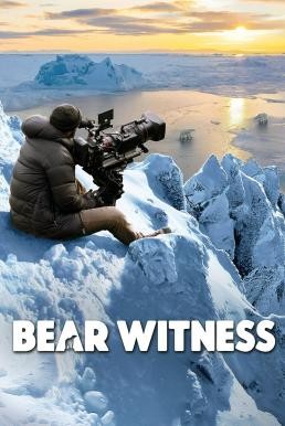 Bear Witness (2022)