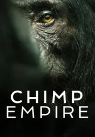 Chimp Empire: อาณาจักรชิมแปนซี (2023) Netflix - ดูหนังออนไลน