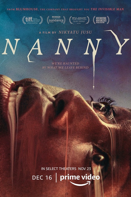 Nanny แนนนี่ พี่เลี้ยงหลอน (2022) บรรยายไทย - ดูหนังออนไลน